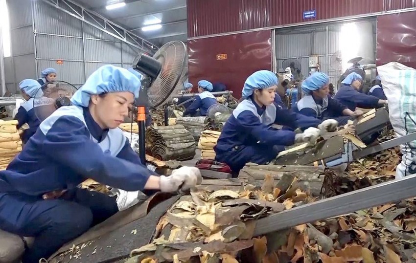 Các doanh nghiệp, hợp tác xã thành lập đi vào hoạt động, góp phần giải quyết việc làm cho lao động địa phương