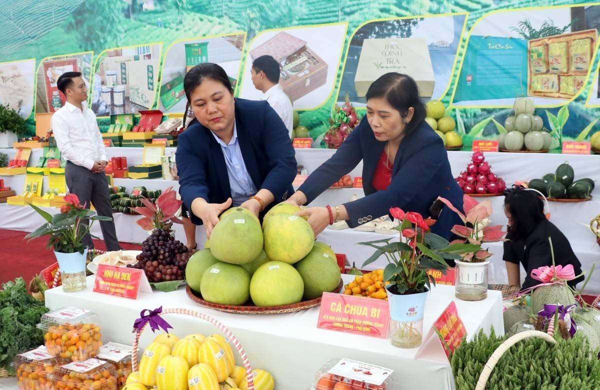 Nông sản Thái Nguyên "lên sàn" tăng trưởng mạnh nhờ thương mại điện tử