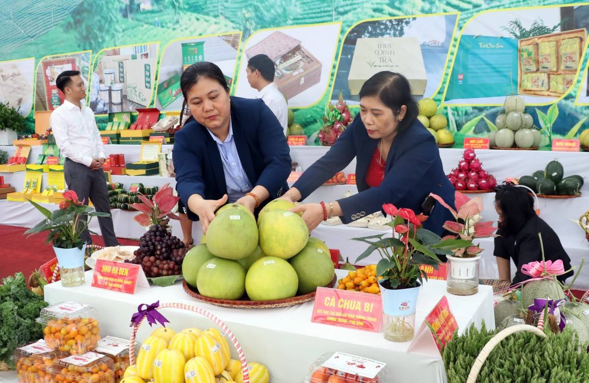 Nông sản Thái Nguyên 