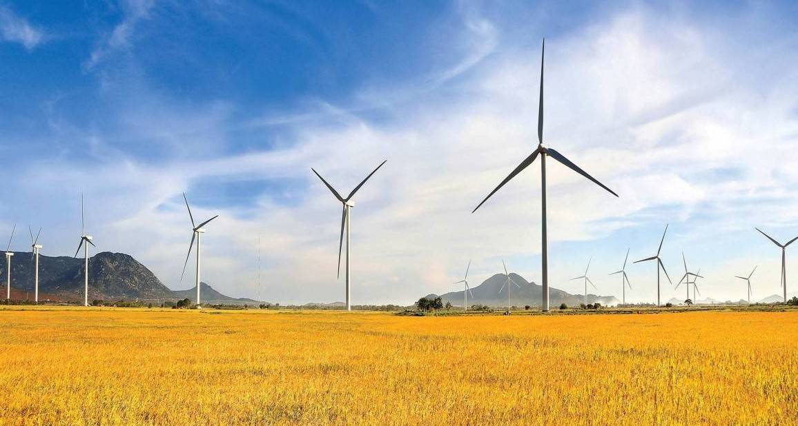 Ninh Thuận: Ngân hàng phát triển Việt Nam "gỡ van" tín dụng cho nhà đầu tư