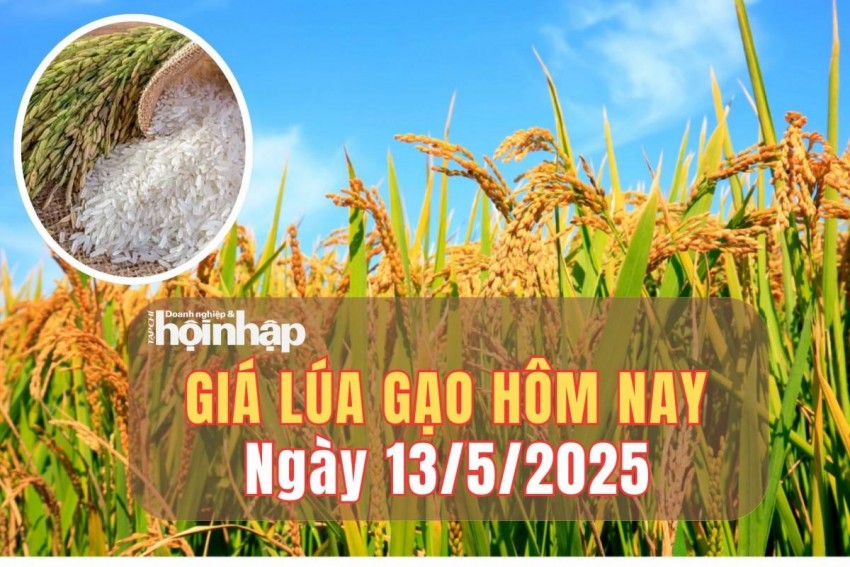 giá lúa gạo