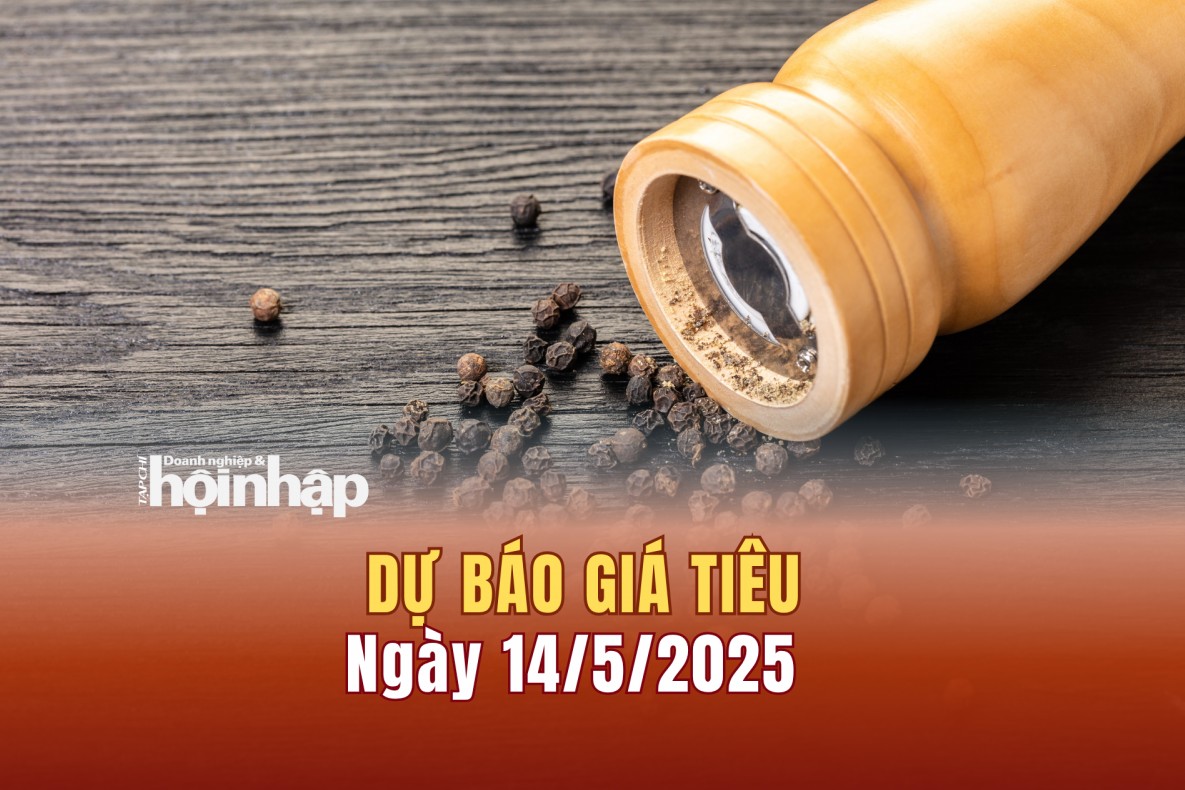 Dự báo giá tiêu 14/5: Giá tiêu trong nước "trụ vững" ở mức cao