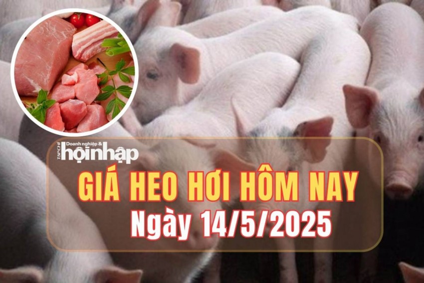 giá heo hơi