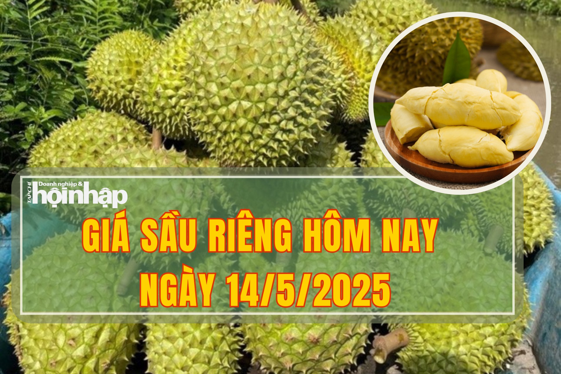 Giá sầu riêng hôm nay 14/5: Thị trường giữ giá đi ngang