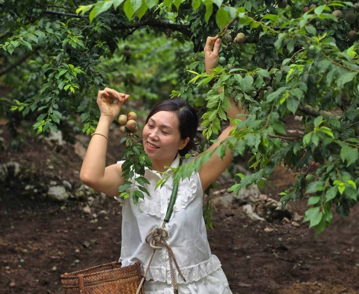 Sơn La: Khẳng định vị thế trên bản đồ du lịch Tây Bắc
