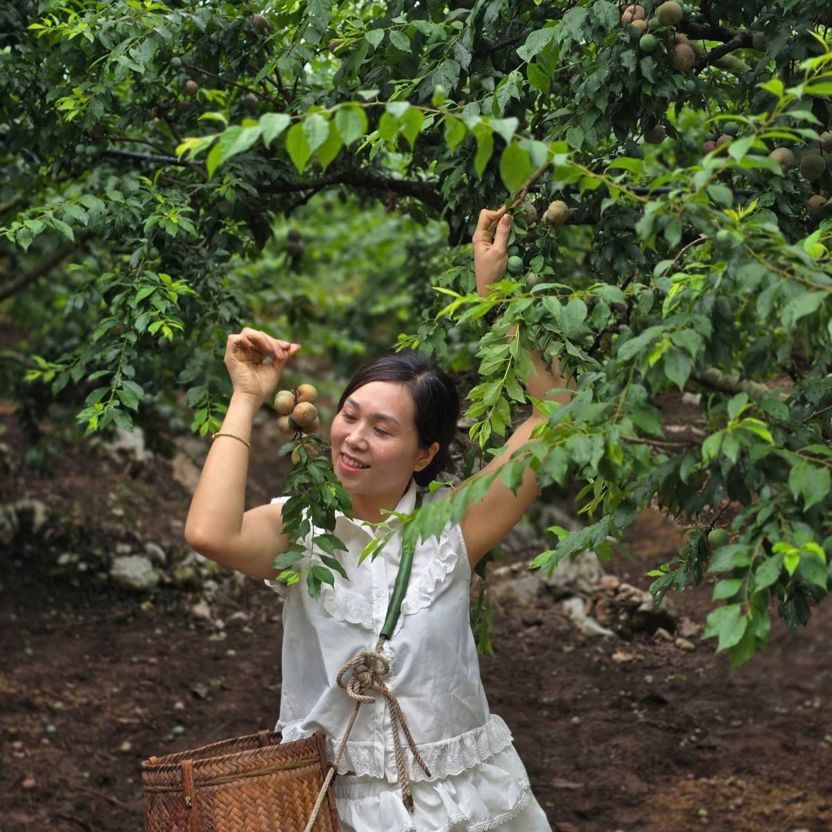 Sơn La: Khẳng định vị thế trên bản đồ du lịch Tây Bắc