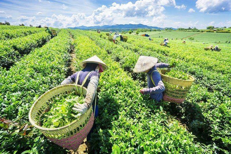 Thái Nguyên: Gần 30 tỷ đồng tiếp sức hộ kinh doanh khó khăn