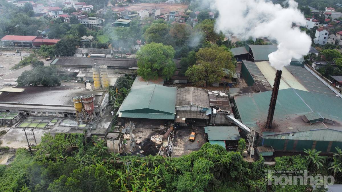 Phú Thọ: Công ty KD Wood bị đình chỉ hoạt động vì vi phạm môi trường