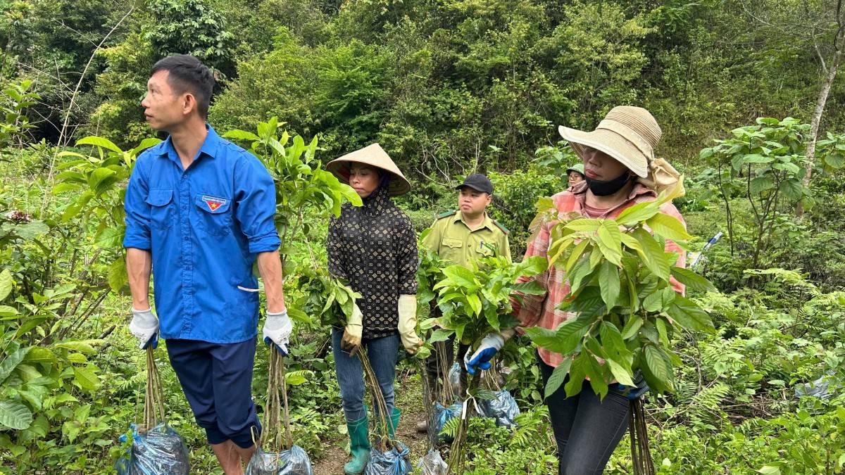Chiến dịch “Vì Trái đất xanh” phục hồi 50 ha rừng tự nhiên tại Hòa Bình