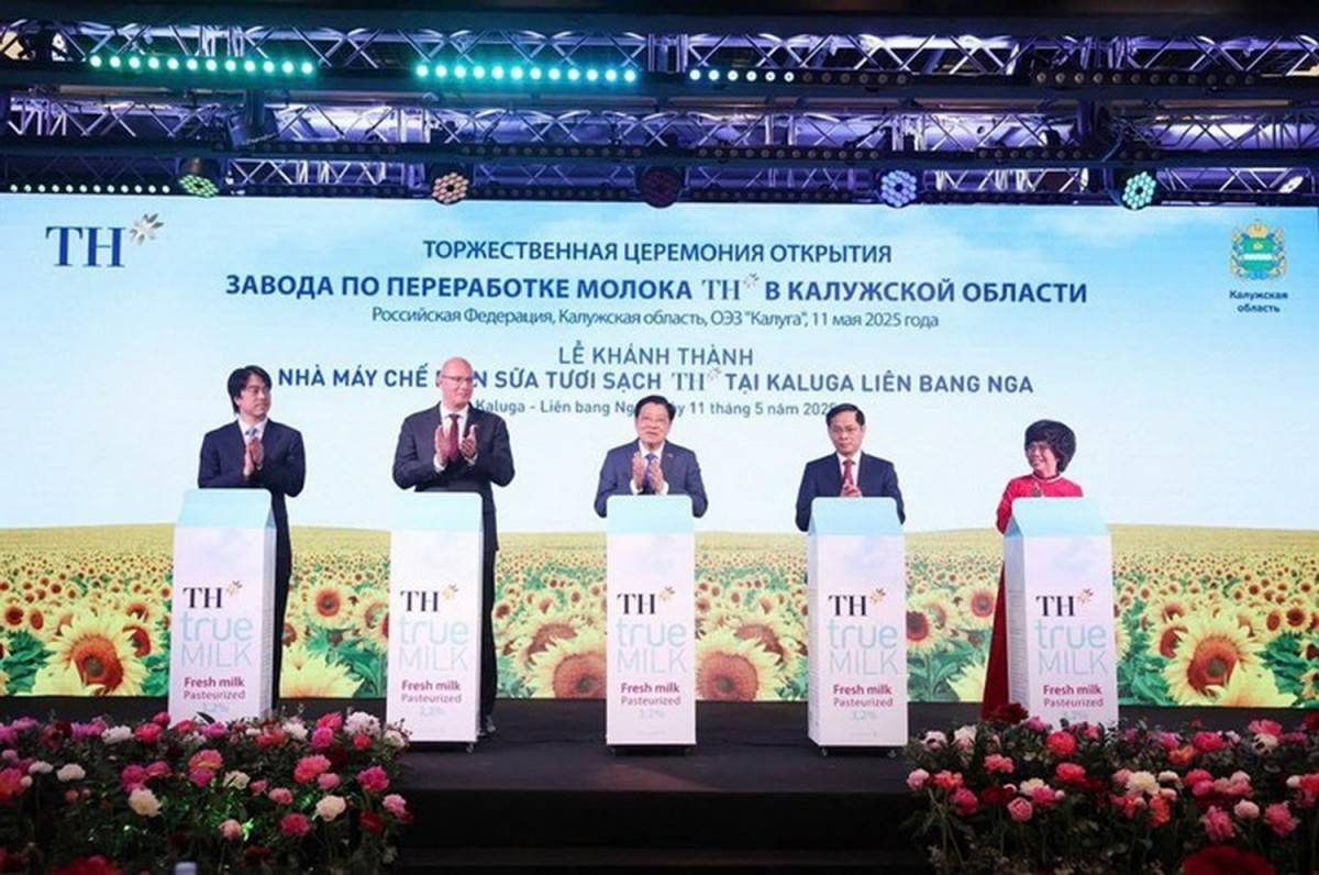 Nghị quyết 68, Bộ Chính trị, kinh tế tư nhân 3