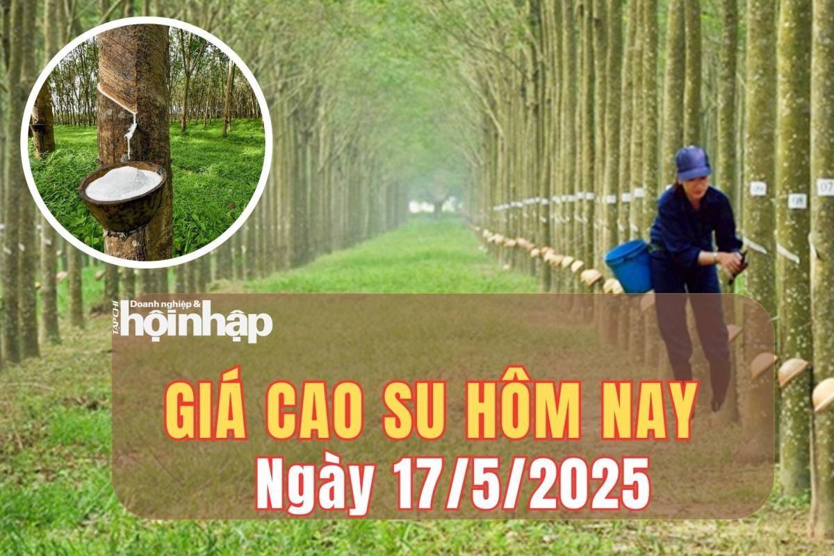 Giá cao su hôm nay 17/5/2025: Giá cao su trong nước đi ngang, thị trường quốc tế giảm nhẹ