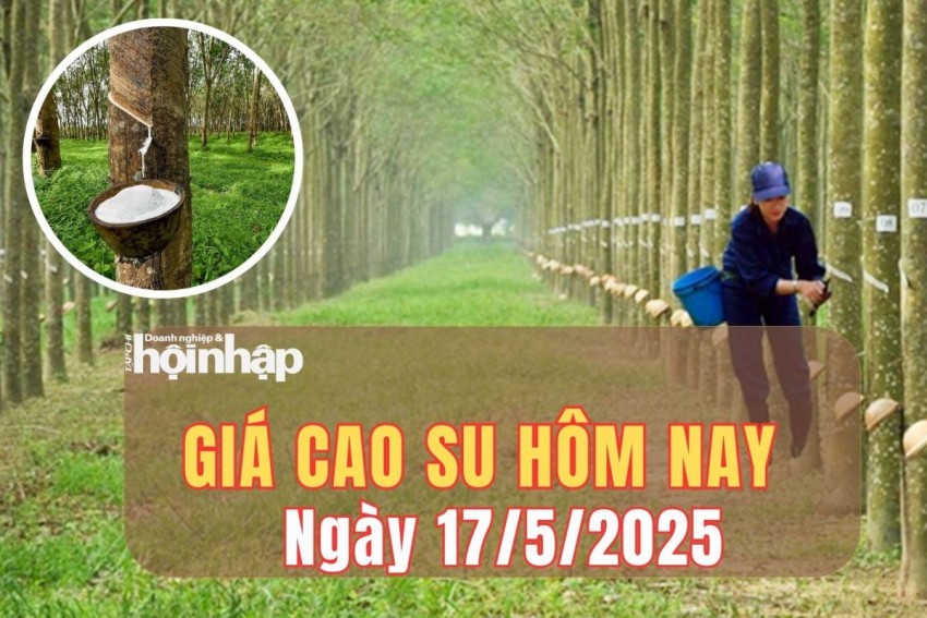 giá cao su giá cao su