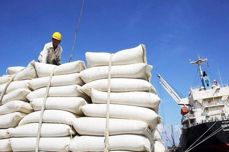 Vì sao phải sửa đổi Nghị định kinh doanh xuất khẩu gạo?