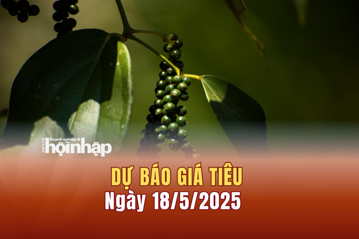 Dự báo giá tiêu 18/5: Giá tiêu trong nước có xu hướng tăng cao