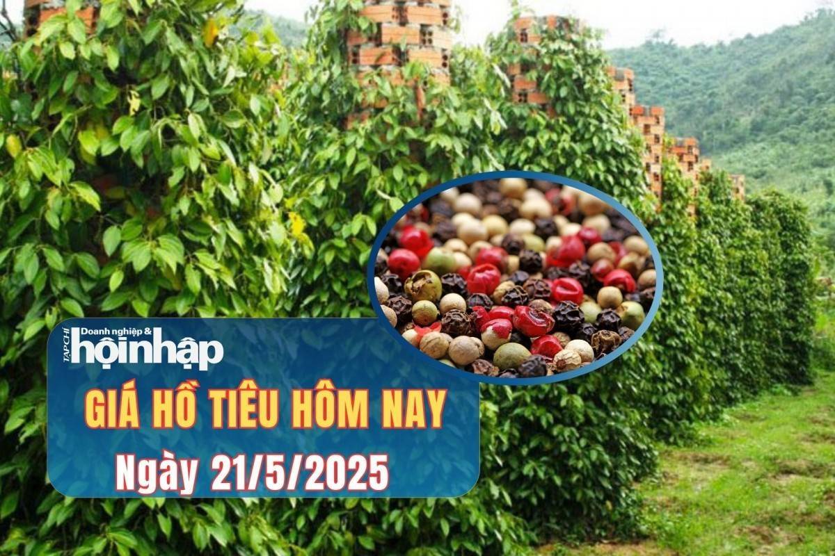 Giá tiêu hôm nay 21/5: Tiêu trong nước ổn định, thị trường quốc tế biến động trái chiều