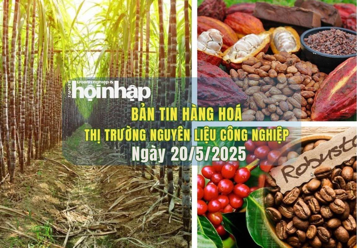 Thị trường nguyên liệu công nghiệp 20/5: Giá cà phê và ca cao đồng loạt tăng, đường thô giảm nhẹ