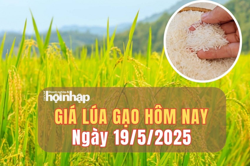 giá lúa gạo