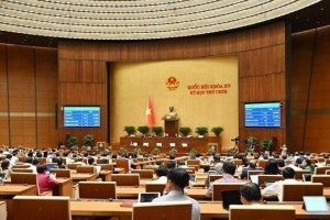 Quốc hội bàn chuyển tiếp áp dụng một số cơ chế, chính sách đặc thù tại các địa phương sau sáp nhập