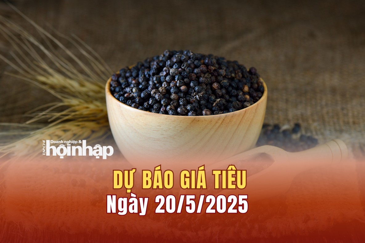 Dự báo giá tiêu 20/5: Giá tiêu trong nước "quay xe" giảm mạnh