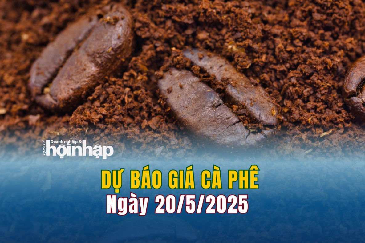 Dự báo giá cà phê 20/5: Giá cà phê trong nước tiếp tục "rớt" giá