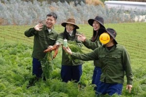 Hoa hậu Thùy Tiên bị bắt và hồi chuông cảnh tỉnh về trách nhiệm người nổi tiếng