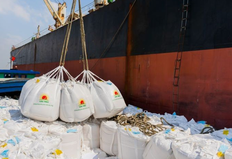 Con đường xuất khẩu gạo của Việt Nam còn nhiều rào cản