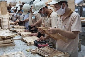 Từ 1.7.2025: 7 nhóm mới tham gia bảo hiểm xã hội bắt buộc theo Luật BHXH 2024