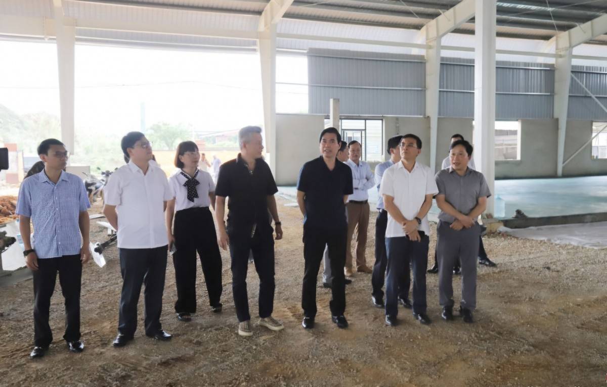 Sơn La: Thúc đẩy tiến độ các dự án trọng điểm tại Khu công nghiệp Mai Sơn