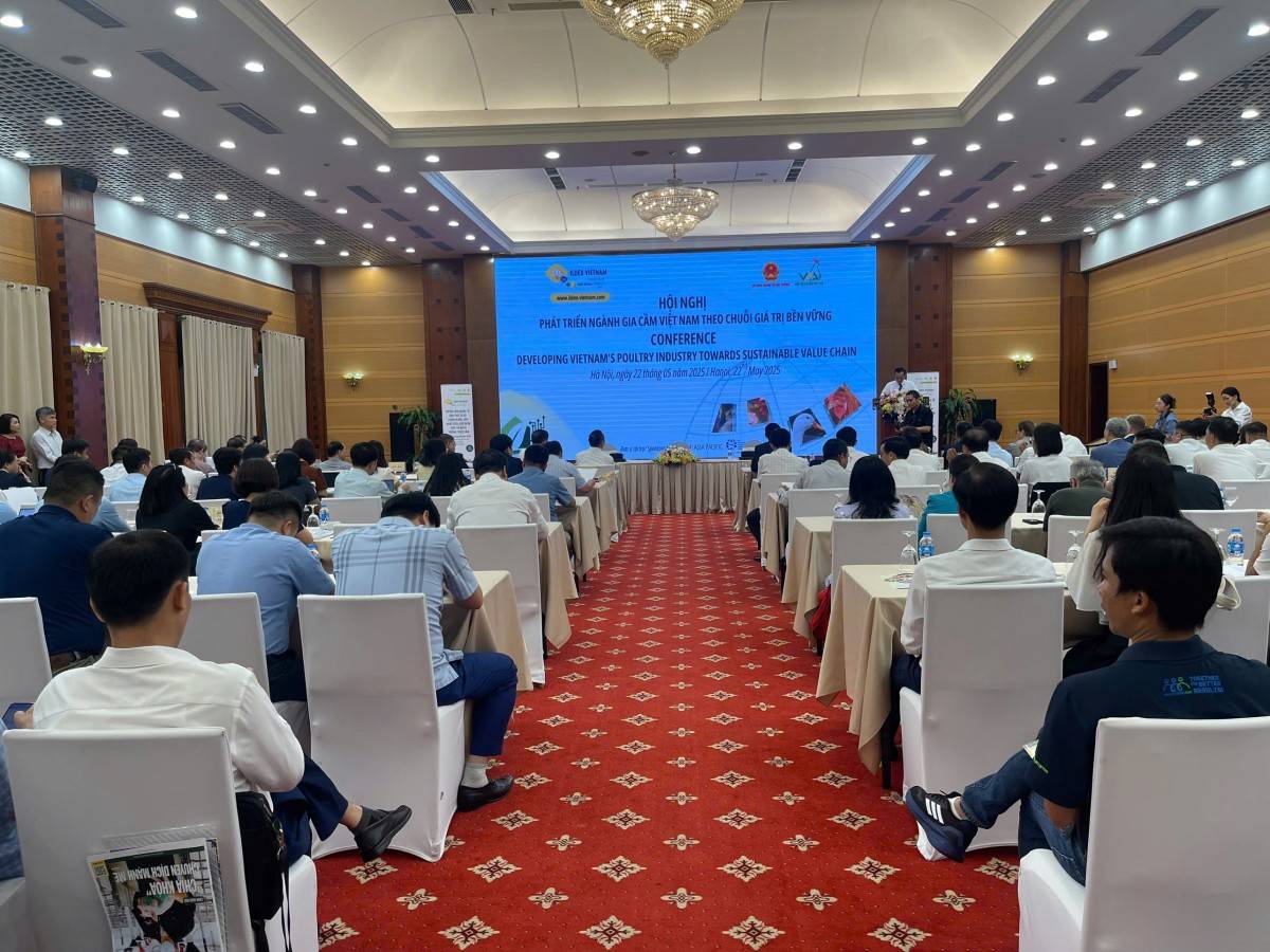 Liên kết chuỗi giá trị trong ngành gia cầm còn quá ít