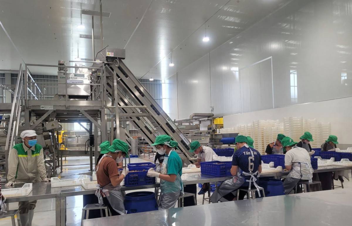 Sơn La có 3.897 doanh nghiệp với vốn đăng ký gần 80 nghìn tỷ đồng