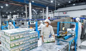 Sơn La có 3.897 doanh nghiệp với vốn đăng ký gần 80 nghìn tỷ đồng