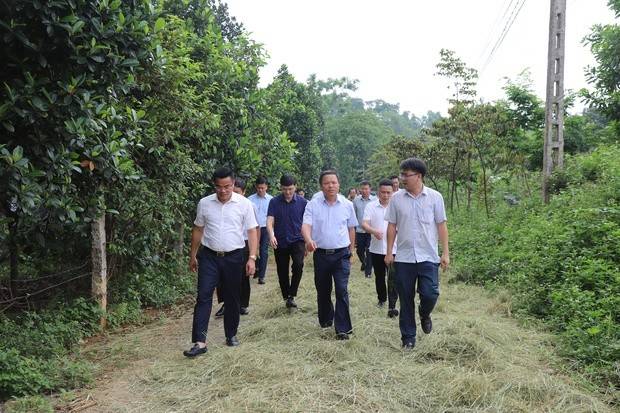 Phó Chủ tịch UBND tỉnh Phú Thọ kiểm tra tiến độ dự án đường sắt nghìn tỷ: Quyết tâm  Phó Chủ tịch UBND tỉnh Phú Thọ kiểm tra tiến độ dự án đường sắt nghìn tỷ: Quyết tâm chỉ bàn làm, không bàn lùi