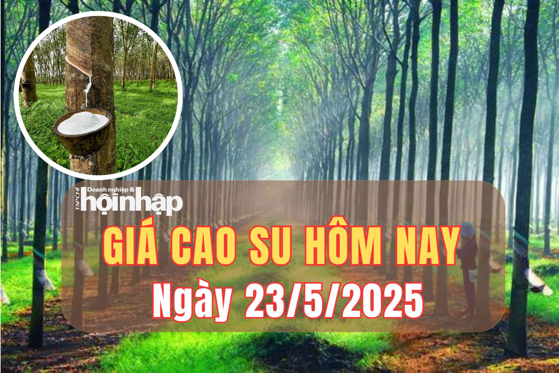 Giá cao su hôm nay 23/5/2025: Giá cao su thế giới tăng giảm bất định, doanh nghiệp nội địa giữ ổn định
