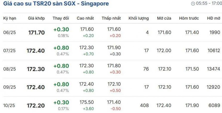 Giá cao su hôm nay 24/5/2025: Giá cao su thế giới lao dốc, thị trường nội địa giữ vững phong độ