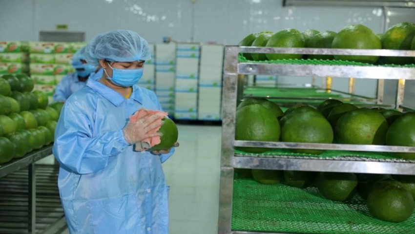 Tin vui cho hàng hóa xuất khẩu từ Việt Nam sang EU