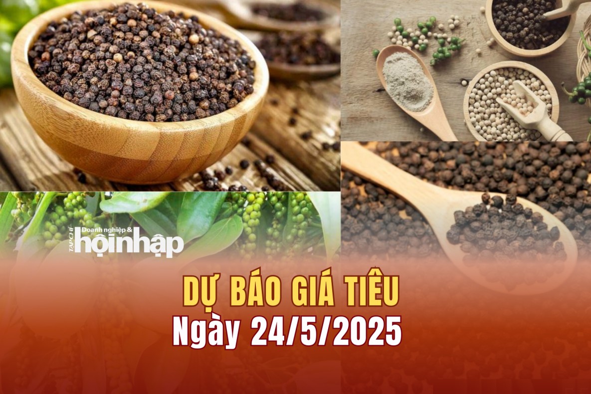Dự báo giá tiêu 24/5: Giá tiêu trong nước "tuột dốc"