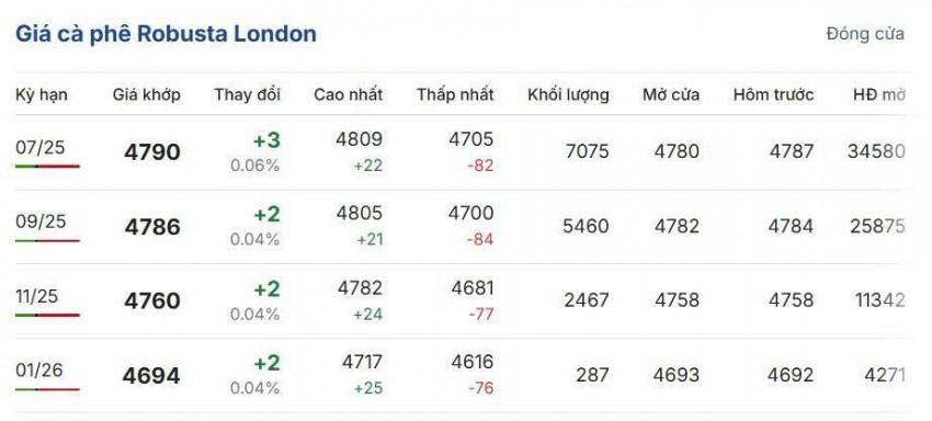 Giá cà phê hôm nay 24/5/2025: Giá cà phê trong nước bật tăng, thế giới lao dốc vì nguồn cung dồi dào