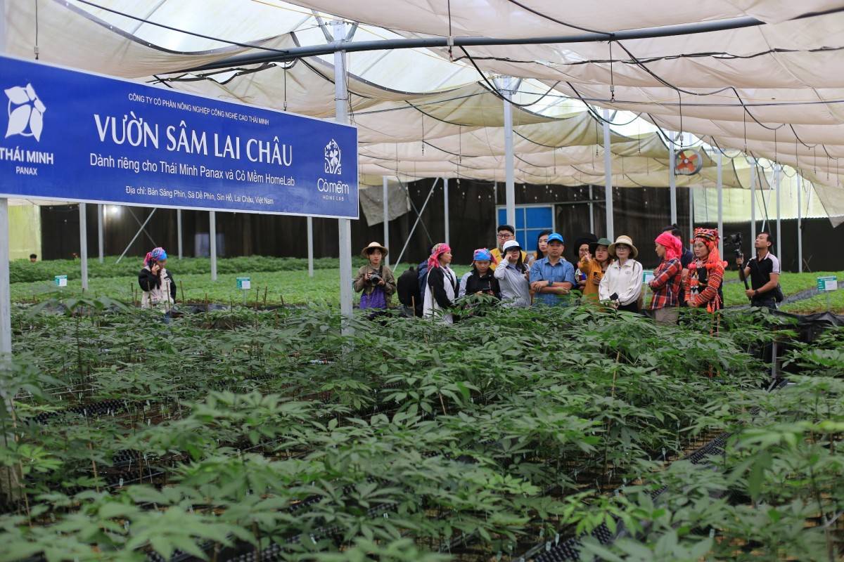 Kết nối nguồn lực, mở rộng thị trường để nâng tầm sản phẩm vùng cao Kết nối nguồn lực, mở rộng thị trường để nâng tầm sản phẩm vùng cao