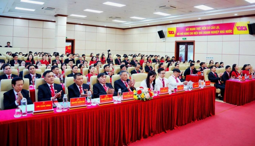 Các đại biểu dự đại hội.