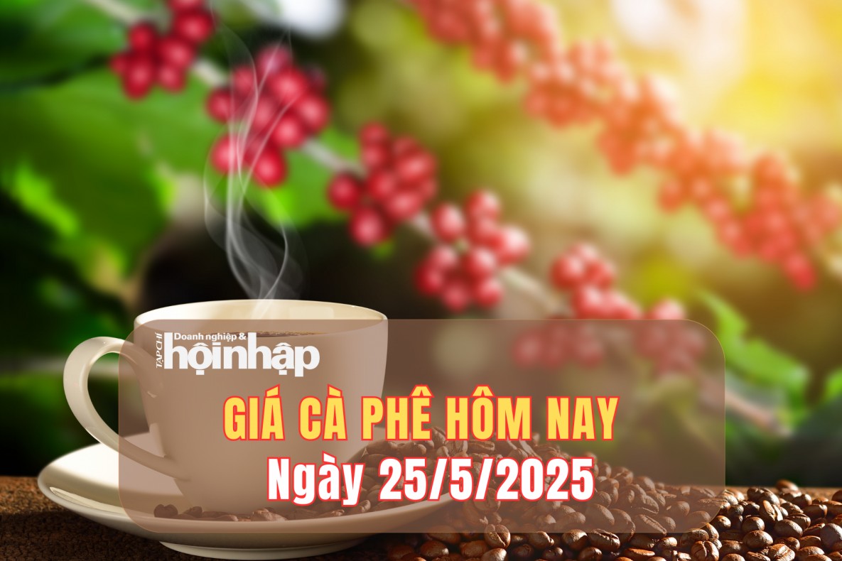 Giá cà phê hôm nay 25/5/2025: Giá cà phê trong nước đi ngang, thế giới tăng nhẹ
