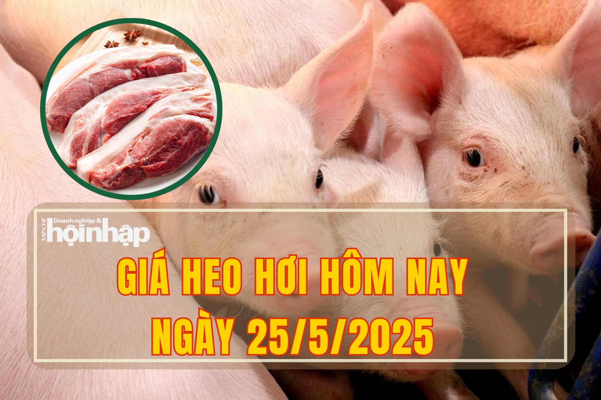 Giá heo hơi hôm nay 25/5/2025: Thị trường chững giá, giữ đỉnh 75.000 đồng/kg