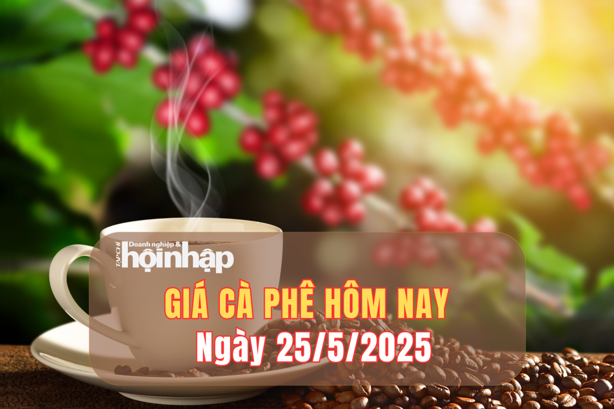 Giá cà phê hôm nay 25/5/2025: Giá cà phê trong nước đi ngang, thế giới tăng nhẹ