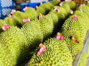 Đắk Lắk trước bài toán phát triển bền vững ngành trái cây “tỷ đô”