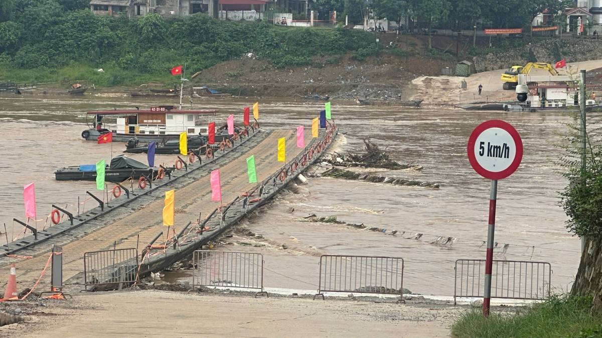 Cắt cầu phao Phong Châu do nước lớn, nhiều huyện Phú Thọ nguy cơ sạt lở