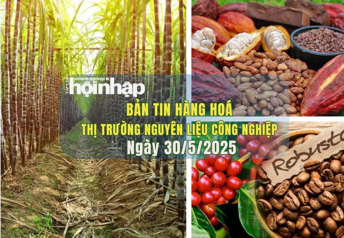 Thị trường nguyên liệu công nghiệp 30/5: Giá cà phê, giá ca cao và giá đường đồng loạt giảm