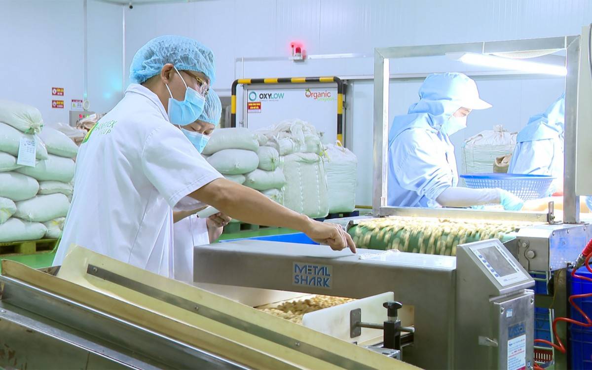 Bình Phước: Phát triển bền vững nông sản năm 2025