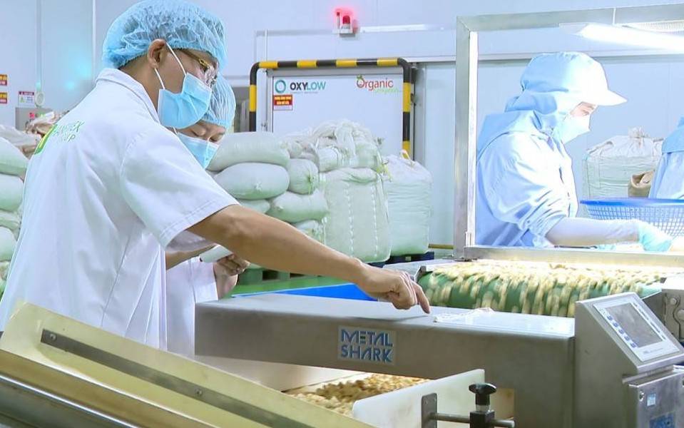 Bình Phước: Phát triển bền vững nông sản năm 2025