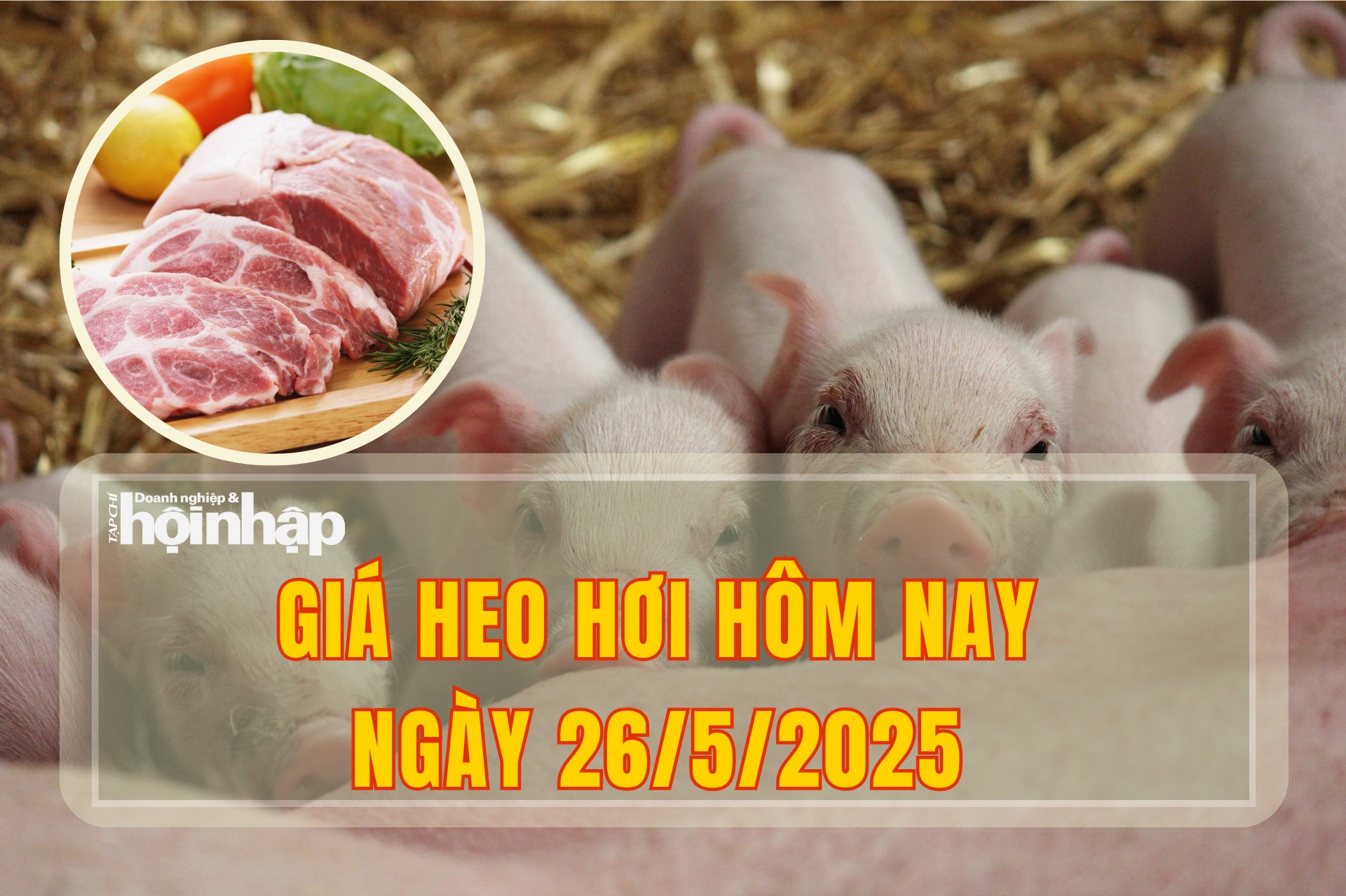 Giá heo hơi hôm nay 26/5/2025: Thị trường đầu tuần chững giá