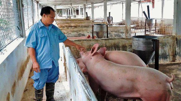 Thái Nguyên: Kinh tế trang trại tạo giá trị 1.600 tỷ đồng mỗi năm