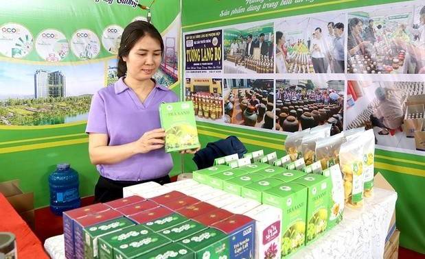 Doanh nghiệp Phú Thọ nâng tầm nông sản địa phương qua OCOP